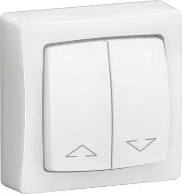 Image de Double interrupteur pour volets roulants Appareillage saillie complet - blanc