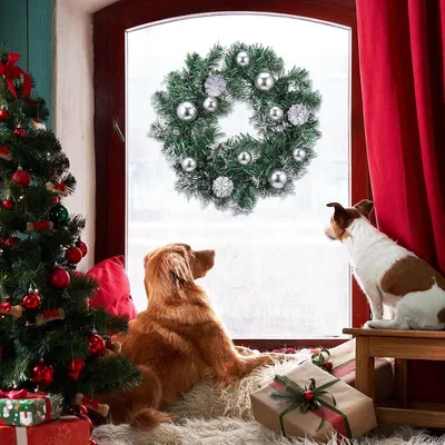 Adventskranz, Hauptbild