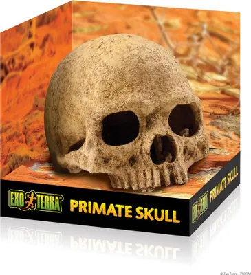 Produktbild von Exo Terra Versteck Primate Skull