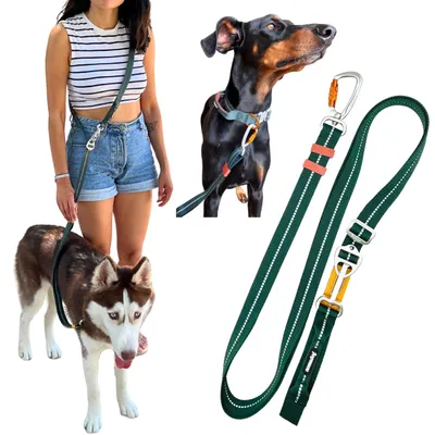 6-in-1 Hands-Free Hunderiem, verstellbar 120-210 cm, Alu, reflektierend