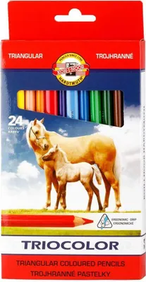Immagine prodotto di Matite colorate KOH Scuola Jumbo Triocolor 24s