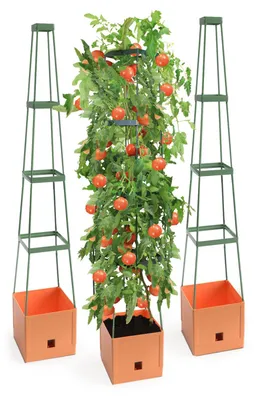 Produktbild von 3er-Set Pflanzenturm MaxiTom, 150 cm, Farbe: terracotta