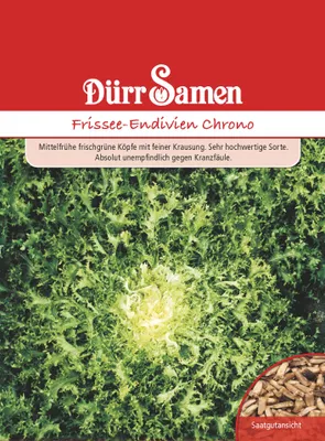Artikelbild 1 von 'Frissée Chrono' aus der Kategorie Endiviensalatsamen