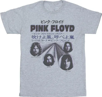 Produktbild von Pink Floyd - T-Shirt für Herren BI44146 (M) (Grau)