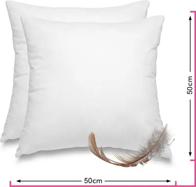 Two white pillows are shown against a white background.