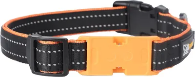Productafbeelding van Hondenhalsband, nylon, verstelbaar, neopreen padding, voor honden