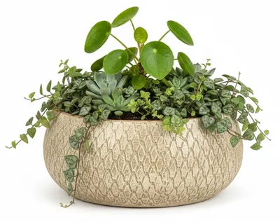 Produktbild von Glimmer Blumentopf / Pflanzschale Madeira - creme - terracotta - 27 cm - Schuppenmuster
