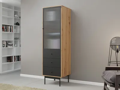 Obrázok produktu pre Presklená vitrína s LED osvetlením MIO - dub artisan / čierna