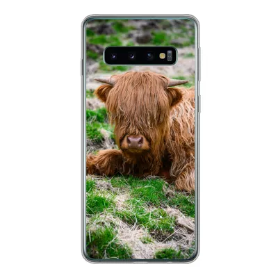 Produktbild von MuchoWow® Handyhülle Schutzhülle Hülle für Samsung Galaxy S10 Schottischer Highlander - Heu - Gras Silikon Softcase Handy Hülle - Handytasche