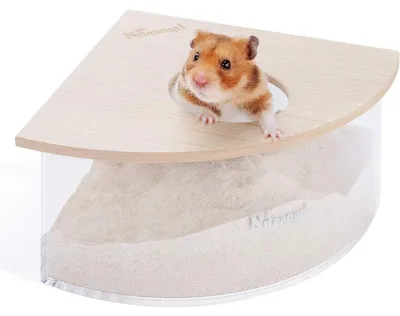 Productafbeelding van Acryl badkuip met deksel voor hamsters, muizen en gerbils, driehoekig, transparant, 18,8x18,8x10,2 cm