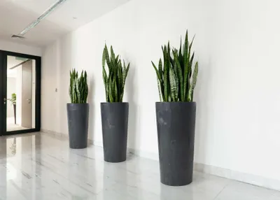 Immagine prodotto di HowHomely Urbanika vaso da fiori alto 57 cm, vaso per piante, fioriera nera per giardino balcone