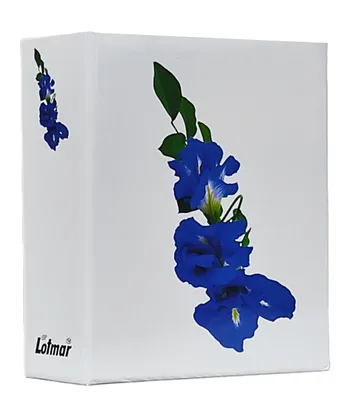 Immagine prodotto di VMC ALBUM per 304 foto 10x15 cm. nessuna descrizione FIORE BIANCO blu