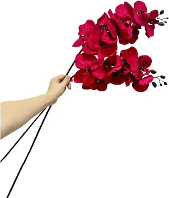 Productafbeelding van Kunstorchidee 100 cm - 2 Stelen met 8 Bloemen - Phalaenopsis Kunstbloemen - Onderhoudsvrij