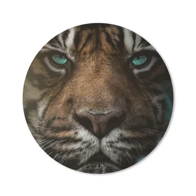 Produktbild von MuchoWow® Mauspad Mousepad Dschungel - Tiger - Wilde Tiere 20x20 cm - Mousepads - Maus Mat - Pad - Mausunterlage - Schreibtischmatte