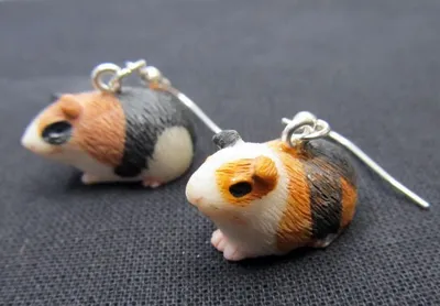 Produktbild von Meerschweinchen Ohrringe Meerschwein Miniblings Hänger Meersau Haustier