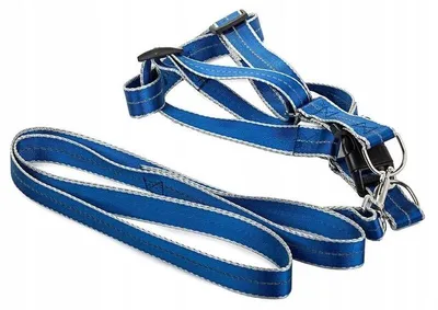 Obrázek produktu pro Verk 19121 Nylonový postroj s vodítkem pro psa 125 x 2,5 cm modrý