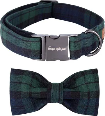 Image de Collier pour chiens et chats, réglable, petit, moyen, grand, ceinture pour animaux