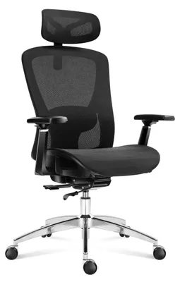 Obrázek produktu pro Ergonomická kancelářská židle – prodyšná opěrka zad s bederní opěrkou – černá