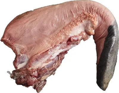 Produktbild von Rinderzunge naturbelassen vom irischen Angusrind