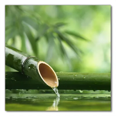 Produktbild von Wallario selbstklebende Möbelfolie/ Tischdecke für Innen und Außen, Größe: 50 x 50 cm - Bambusquelle  Bambusrohr mit Wasser