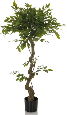 Produktbild von bümö plants Kunstpflanze Birkenfeige grün