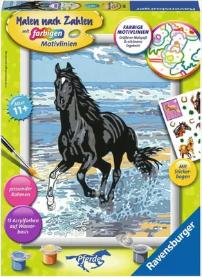 Obrázok produktu pre Ravensburger 28565, 1 strany, Obrazy v balení, Súprava farieb s číslami