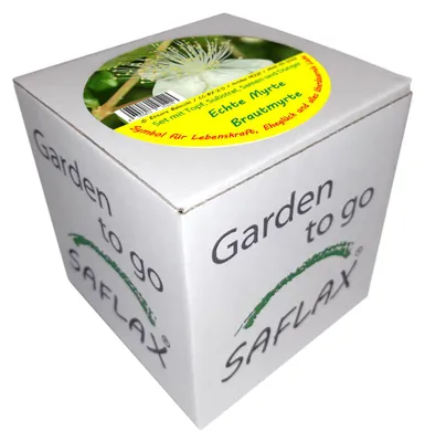 Produktbild von Echte Myrte | Exotische Samen von Saflax