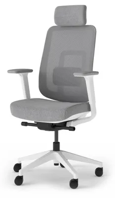 Ergonomischer Bürostuhl mit 4D-Armlehnen, Mesh-Rücken, Kopfstütze, grau