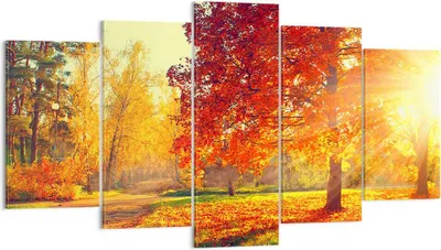 Produktbild von Bild auf Leinwand - Leinwandbild - Park Herbst Baum - 160x85cm - Wand Bild - Wanddeko - Wandbilder - Leinwanddruck - Bilder - Kunstdruck - Wanddekoration - Leinwand bilder - Wandkunst - EA160x85-3654