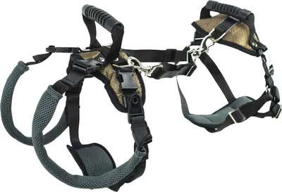 Image de Solvit Petsafe Carelift avant et arrière