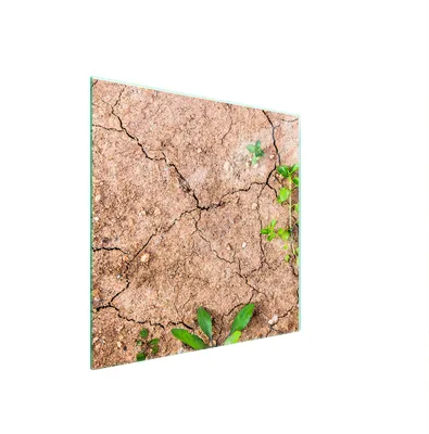 Immagine prodotto di Piastra Di Protezione In Vetro Per Le Piante 50X52