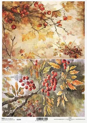 Immagine prodotto di ITD carta di riso decoupage tecnica artigianale tovagliolo di carta-R2299 piante, sorbo, autunno