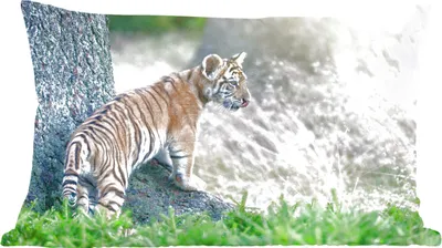 Produktbild von MuchoWow® Zierkissen Sofakissen Wohnzimmer Dekokissen 60x40 cm Tigerjunges im Wald - Kopfkissen - Polster mit Foto