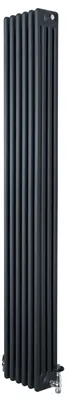 Produktbild von Röhrenheizkörper 4 Säulen mit TRV Chromventile – 1800mm x 290mm – Anthrazitgrau