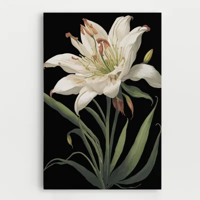 Produktbild von ARTHUB® Leinwandbild 70x100 cm, Columbia White Lily | Wohnzimmerdekoration, Hängende Bilder, Wanddekoration, Heimdekoration, Blumen, Lilien
