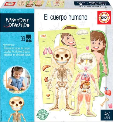 Produktbild von Educa 18701, 4 Jahr(e), Mehrfarbig