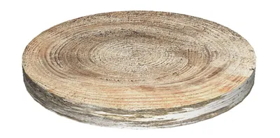 Produktbild von Stuhlkissen RING »Birke« PH04