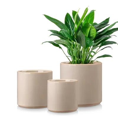 Produktbild von vancasso Steingut Blumentopf, 3-tlg zylindrischer Pflanztöpfen für Sukkulenten, Grünpflanzen, rund, Grau