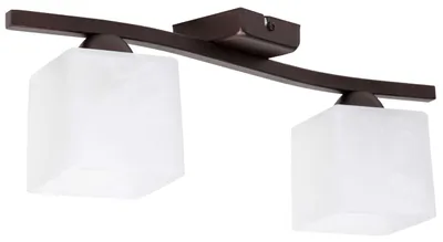 Obrázok produktu pre Stropné svietidlo, 2x60W, LED