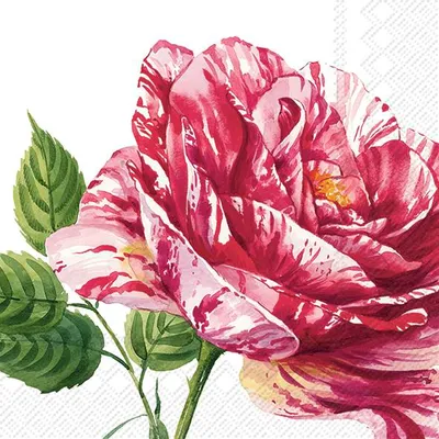 Produktbild von CHARLOTTE white Lunch-Servietten L 947790