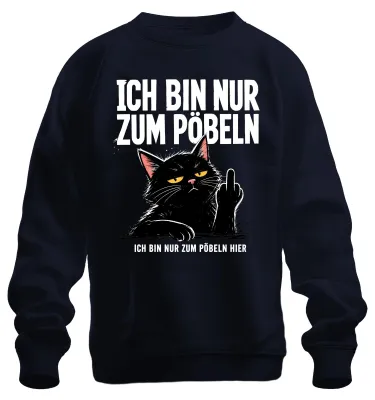 Immagine prodotto di Maglietta o felpa con scritta "Sono qui solo per insultare", stile "Nero", sarcasmo, ironia, colore blu navy, taglia XL