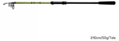 Produktbild von Delphin PARTISAN 240cm/50g/Tele
