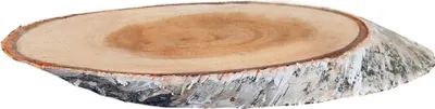 Produktbild von Birkenholzscheiben oval 100% Natur 18-30 cm ø