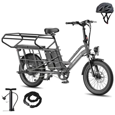 Produktbild von Longtail E-Bike Familie 48 V 30Ah mit Klapplenker & Vollfederung – 20" Fettreifen, Kindersitz inklusive, 25 km/h - Graphitgrau
