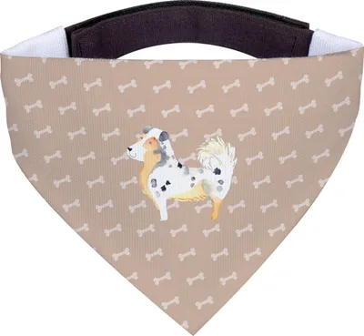 Produktbild von Mr. & Mrs. Panda Halstuch Für Hunde Hund Australien Shepherd - Hundeglück - Geschenk, Spruch, Sprüche, Tuch, Hundeliebe, Hundehalstuch