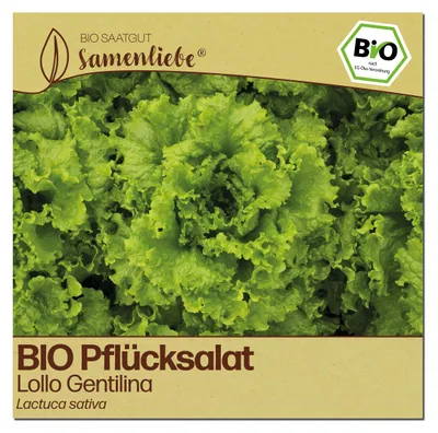 Produktbild von Samenliebe  Salat Samen | Lollo Gentilina - stark gekraust - samenfestes  Saatgut