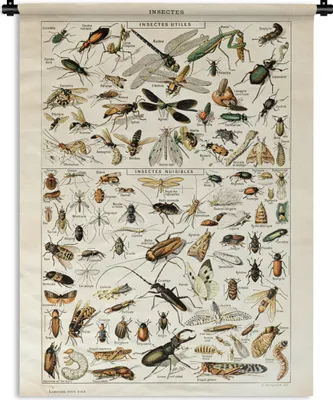 Produktbild von MuchoWow® Wandteppich Wandbehang Insekten - Tiere - Gestaltung 150x200 cm Tapisserie Dekoration Wandtuch - Wandaufhängung - Moderner