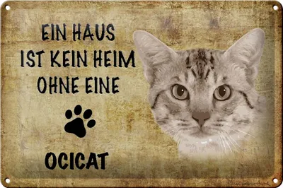Produktbild von Blechschild Spruch 30x20cm Ocicat Katze ohne kein Heim