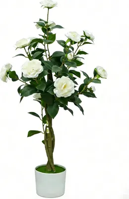 Immagine prodotto di Albero di camelia artificiale - Pianta decorativa artificiale in vaso - Altezza 90 cm - Solo per interni - Materiale PP - Decorazione per matrimoni e interni - Bianco latte