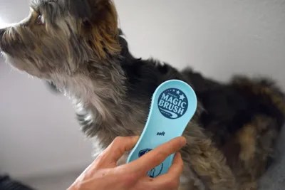 Zdjęcie produktu dla Kerbl Kerbl MagicBrush Bürste (Soft, für besonders sensible Hunde) 81954